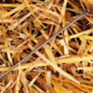 Meet your Posher, Russ